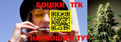 МДПВ Партизанск