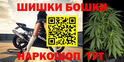 МДПВ Партизанск