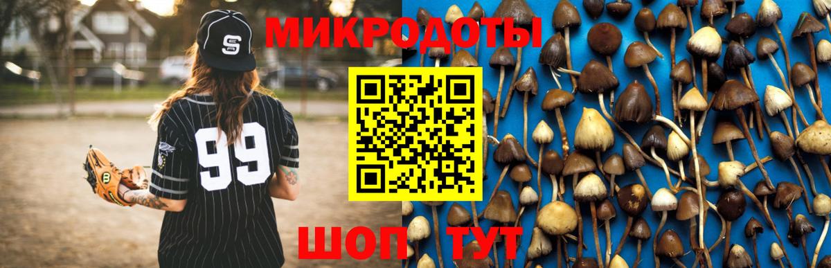 Псилоцибиновые грибы мухоморы Протвино